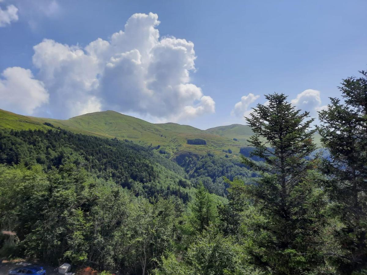 Albergo Rifugio La Grande Baita Кутільяно Екстер'єр фото